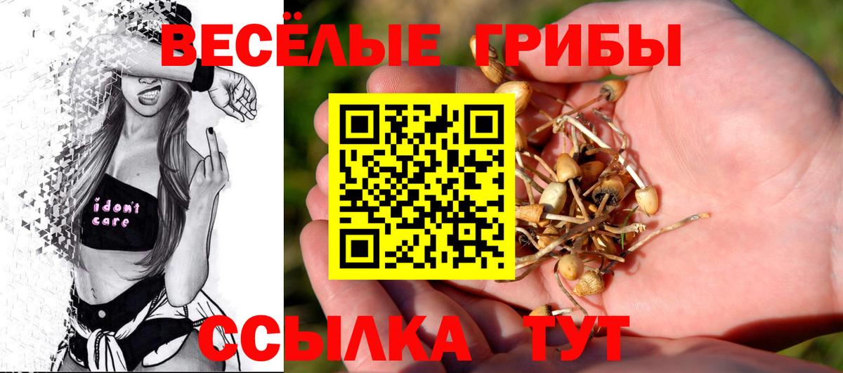 Галлюциногенные грибы мицелий Нальчик