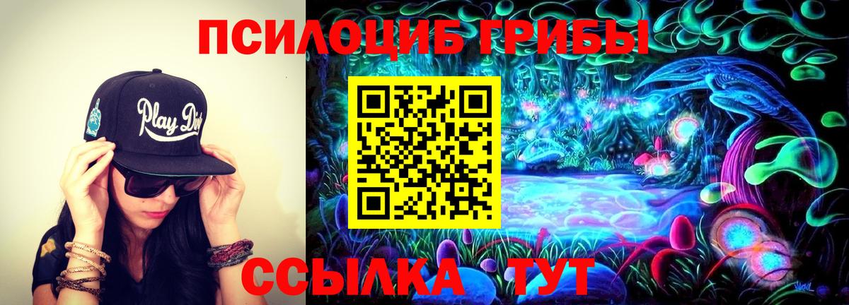 Псилоцибиновые грибы Psilocybe  Вход с VPN  купить закладку  Галлюциногенные грибы MAGIC MUSHROOMS  Нальчик 