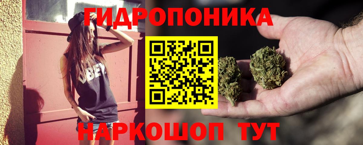 Бошки Шишки планчик Нальчик